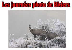 Photo journées photo 2016 grande